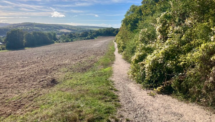 Phoenix Running Ltd, PHOENIX - Kent - Spring Ranscombe 2027 - online entry by EventEntry