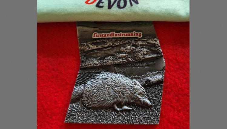 Running Events Devon, Running Events Devon - Virtual - Hedgehog - Last Chance Plym - online entry by EventEntry