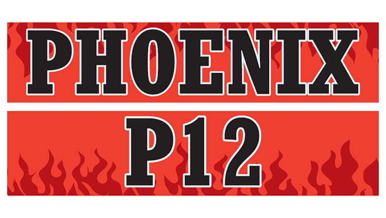 Phoenix Running Ltd, PHOENIX - VIRTUAL - P12 - Onyourmarks Athletics - online entry by EventEntry