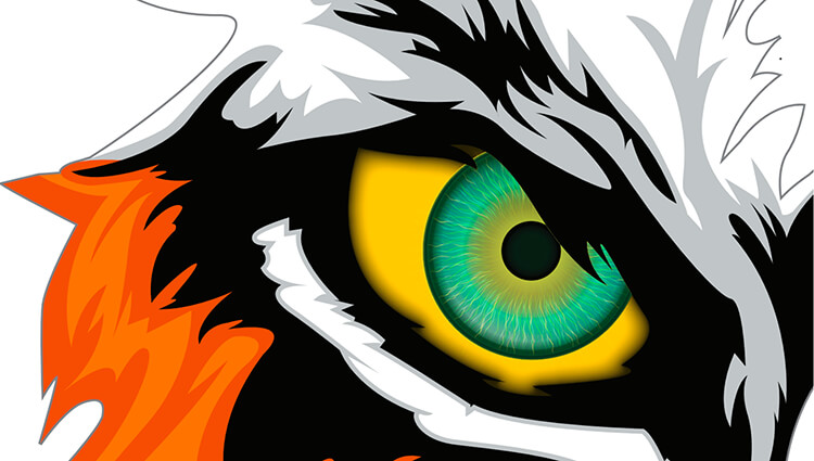 Phoenix Running Ltd, PHOENIX - Eye of the Tiger - online entry by EventEntry