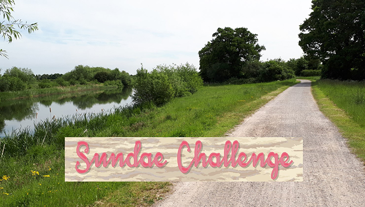 Phoenix Running Ltd, Running Miles - Sundae Challenge 2022 - online entry by EventEntry
